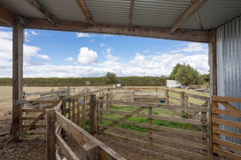 Photo of property in 28 Cowper Side Road, Dannevirke, 4976