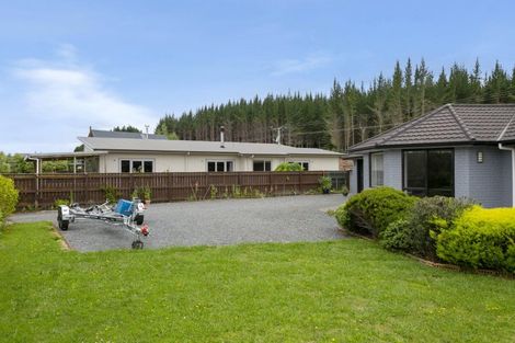 Photo of property in 97 Parekaawa Drive, Motuoapa, Turangi, 3382