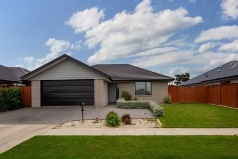Photo of property in 45 Catalina Crescent, Burleigh, Blenheim, 7201