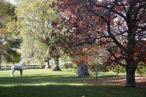 Photo of property in 4195 Masterton Castlepoint Road, Tinui, Masterton, 5889