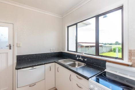 Photo of property in 20 Carlisle Street, Levin, 5510