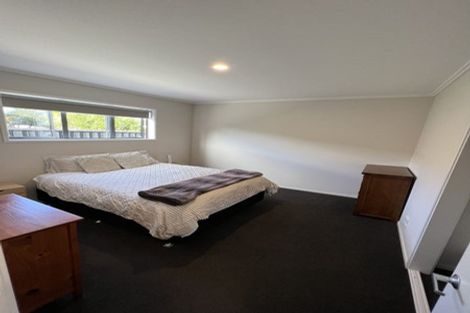Photo of property in 48 Winchester Street, Merivale, Christchurch, 8014
