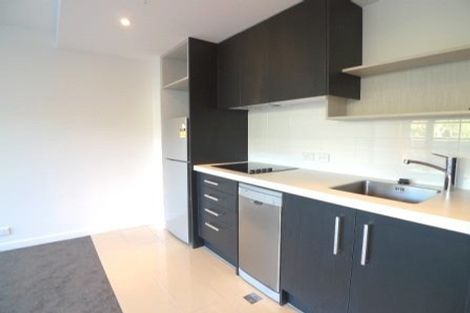 Photo of property in Nouvo Apartments, 4c/21 Rugby Street, Mount Cook, Wellington, 6021