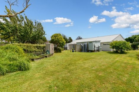 Photo of property in 58 Parry Palm Avenue, Waihi, 3610