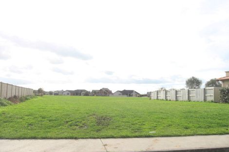 Photo of property in 17 Grace Avenue, Rototuna North, Hamilton, 3210