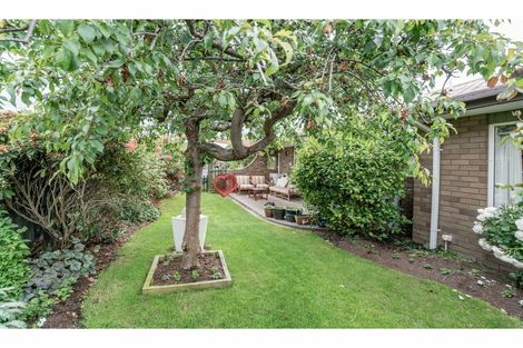 Photo of property in 55 Isaac Wilson Road, Kaiapoi, 7630