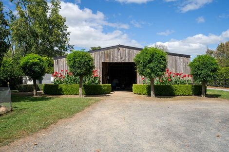 Photo of property in 4/191 Racecourse Road, Cambridge, 3493