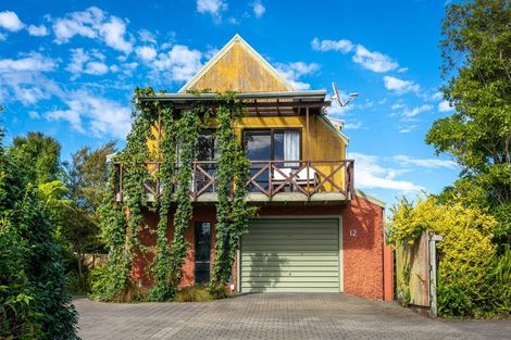 Photo of property in 12 Surrey Road, Richmond, 7020