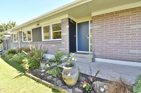 Photo of property in 157 Norwood Street, Normanby, Dunedin, 9010
