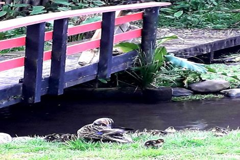 Photo of property in 36 Bays Road, Orere Point, 2585