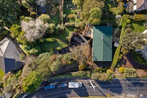 Photo of property in 163 Sidey Street, Calton Hill, Dunedin, 9012