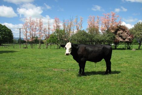 Photo of property in 595a Tauranga Road, Te Poi, Matamata, 3473