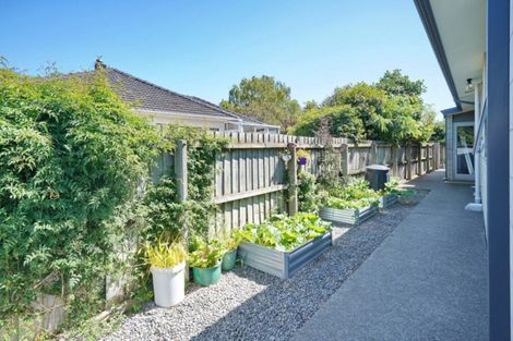 Photo of property in 28 Bank Street, Amberley, 7410