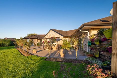Photo of property in 16 Cameo Place, Matamata, 3472