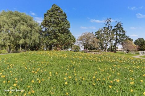 Photo of property in 39 Harrier Street, Parkvale, Tauranga, 3112