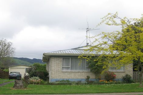 Photo of property in 3 Waimarei Avenue, Paeroa, 3600