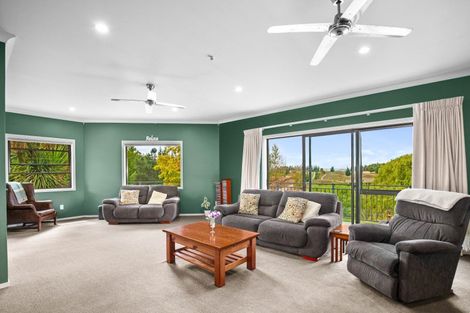 Photo of property in 233 Letts Gully Road, Letts Gully, Alexandra, 9393