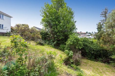 Photo of property in 22 Prospect Bank, Wakari, Dunedin, 9010