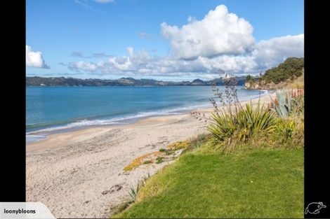 Photo of property in 7 Powhiri Place, Wharekaho, Whitianga, 3510