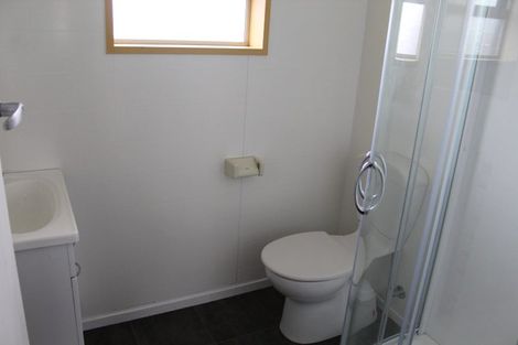 Photo of property in 17 Limbrick Street, Terrace End, Palmerston North, 4410