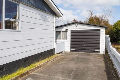 Photo of property in 29 Ferndale Place, Feilding, 4702