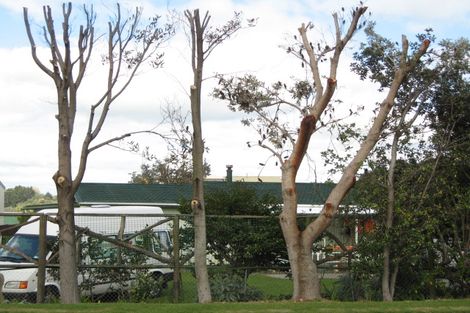 Photo of property in 122 Harbour Road, Ohope, 3121