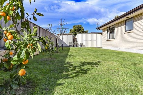 Photo of property in 20i Tomoana Road, Mahora, Hastings, 4120