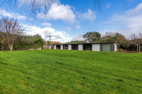 Photo of property in 688 Scarborough Road, Mangamutu, Pahiatua, 4983