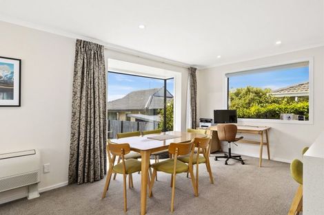 Photo of property in 8b Sheen Street, Roslyn, Dunedin, 9010