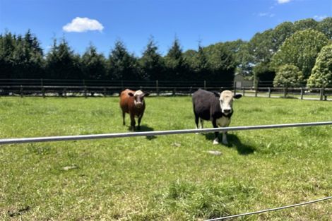 Photo of property in 231a Matangi Road, Matangi, Hamilton, 3284