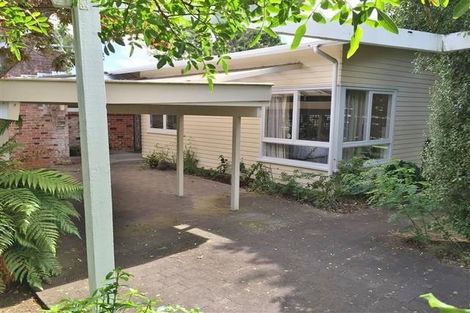 Photo of property in 13 Gregory Place, Mount Roskill, Auckland, 1041