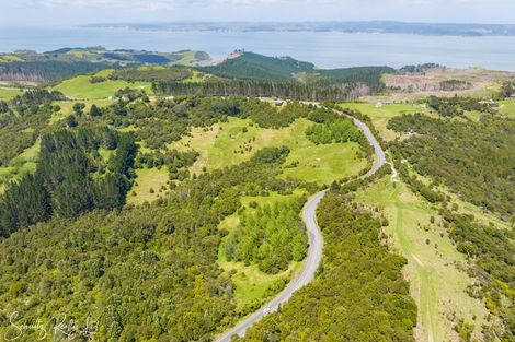 Photo of property in 827 Tinopai Road, Tinopai, Matakohe, 0593