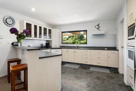 Photo of property in 17 Buller Street, Waihi, 3610