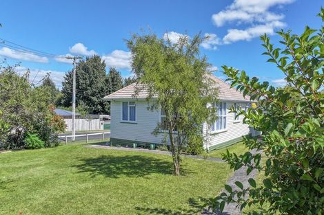Photo of property in 51 Totara Street, Putaruru, 3411