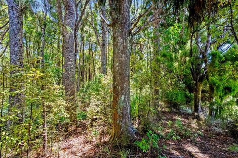 Photo of property in 65 M Greenwood Road, Leigh, 0972