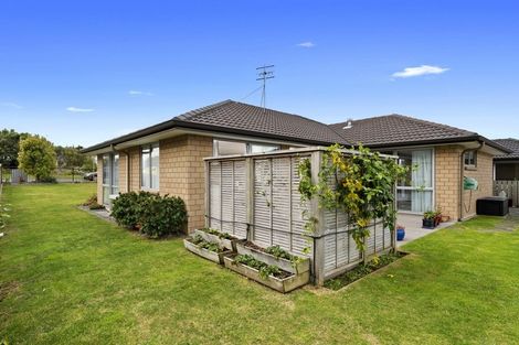 Photo of property in 6 Fairfax Crescent, Pyes Pa, Tauranga, 3112