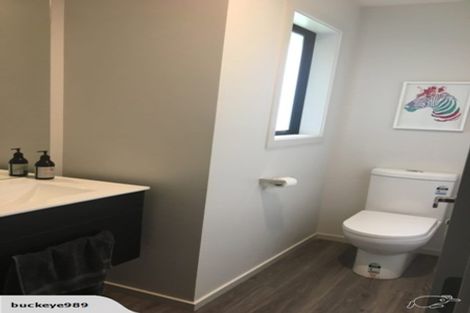 Photo of property in 41 Missy Crescent, Mount Pisa, Cromwell, 9383