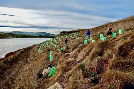 Photo of property in 368 Thorburn Road, Waikouaiti, 9472