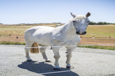 Photo of property in 1059 Hillside Manapouri Road, Manapouri, Te Anau, 9679