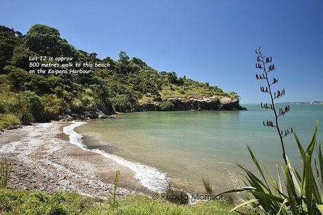 Photo of property in 12 Te Wairoa Lane, Tinopai, 0593