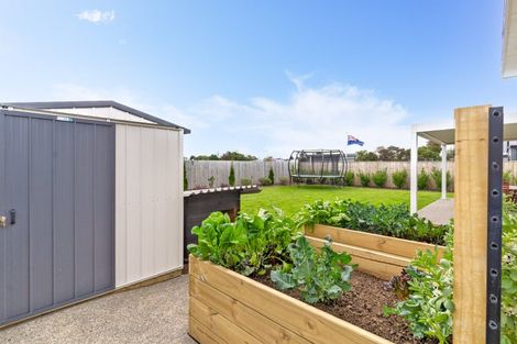 Photo of property in 8 Tuatahi Avenue, Solway, Masterton, 5810