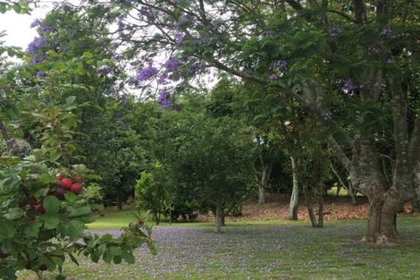 Photo of property in 186 Te Puna Road, Te Puna, Tauranga, 3176