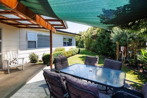 Photo of property in 102 Denbigh Street, Feilding, 4702