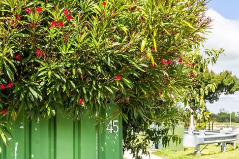 Photo of property in 45 Middle Road, Havelock North, 4130