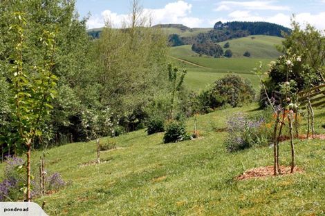 Photo of property in 50 Pond Road, Raglan, 3295