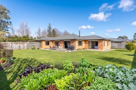 Photo of property in 32 Andrew Street, Kuripuni, Masterton, 5810