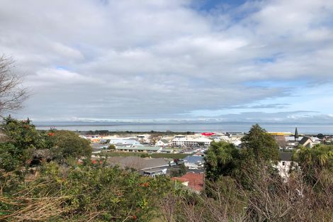 Photo of property in 125 Edward Street, Thames, 3500