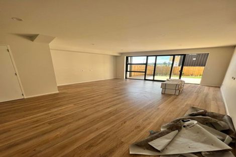 Photo of property in 42 Glidepath Road, Hobsonville, Auckland, 0616