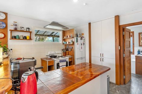 Photo of property in 24 Punga Place, Whitianga, 3510