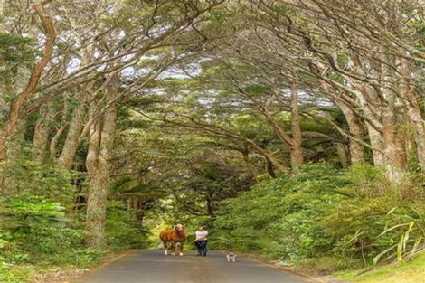 Photo of property in 101 Taylor Road, Waimauku, 0882